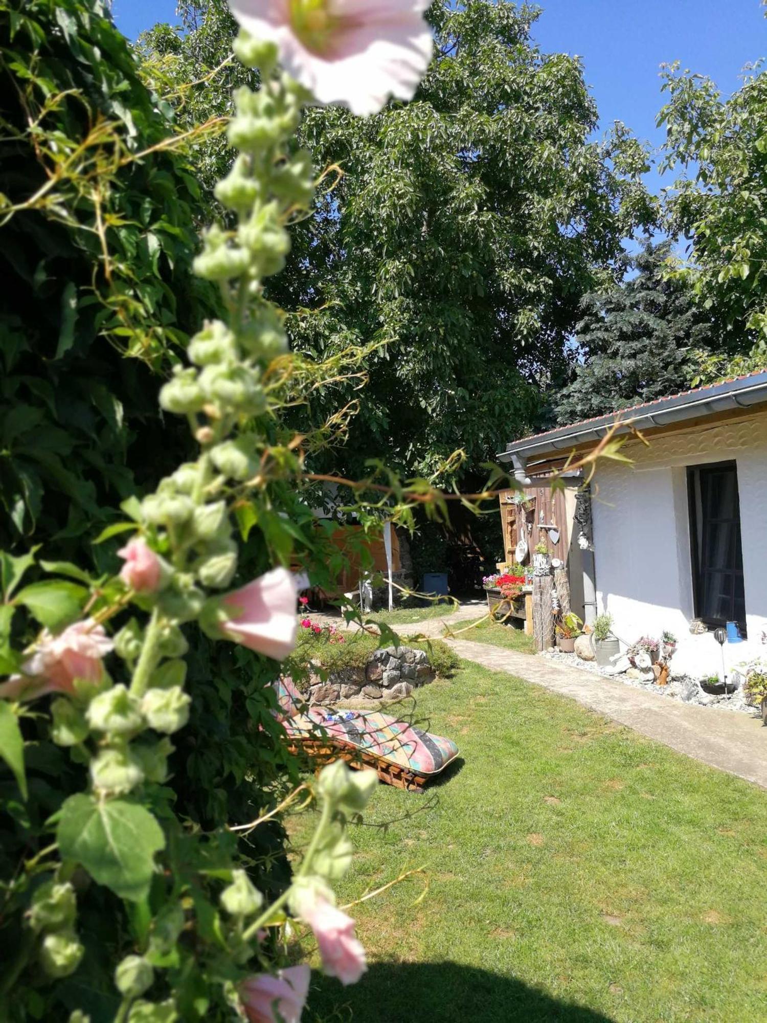 Bungalow Bei Warnemuende Elmenhorst/Lichtenhagen Екстериор снимка